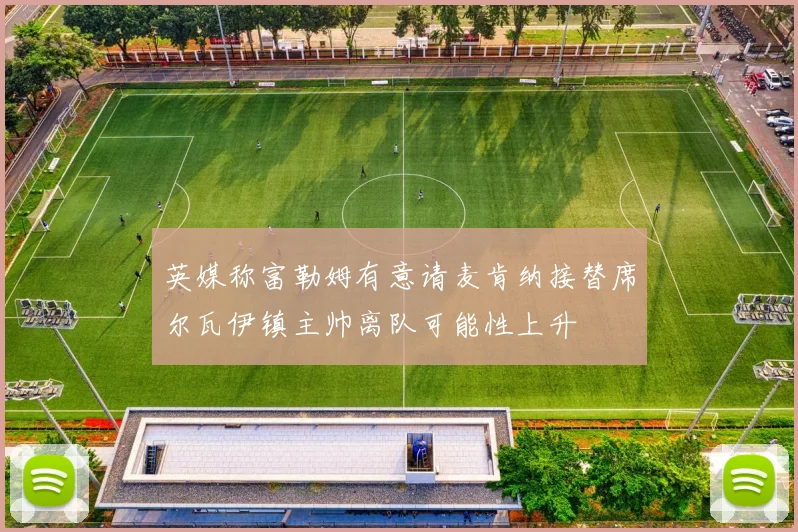 英媒称富勒姆有意请麦肯纳接替席尔瓦伊镇主帅离队可能性上升