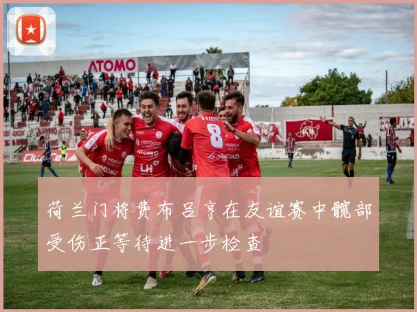 荷兰门将费布吕亨在友谊赛中髋部受伤正等待进一步检查