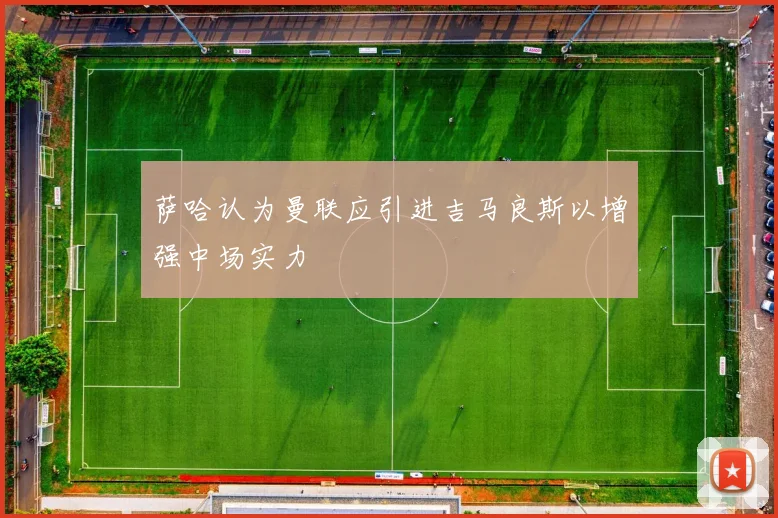 萨哈认为曼联应引进吉马良斯以增强中场实力