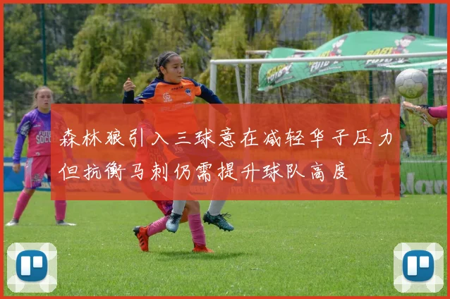 森林狼引入三球意在减轻华子压力但抗衡马刺仍需提升球队高度